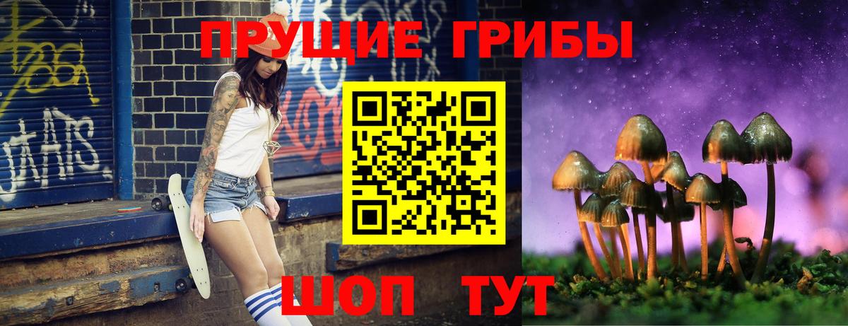 Тара  Псилоцибиновые грибы Psilocybine cubensis  Вход с VPN 