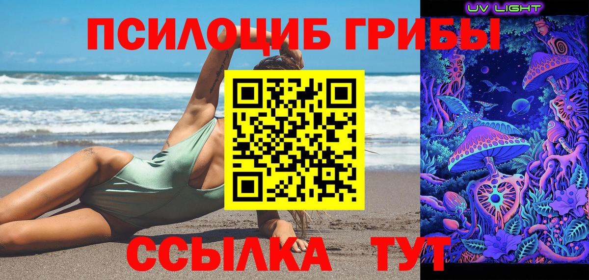 Галлюциногенные грибы Magic Shrooms Тара